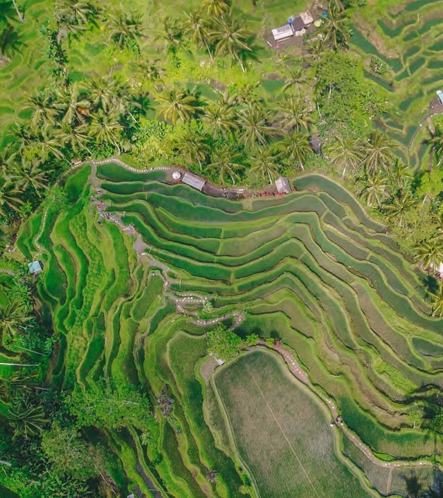 Chào mừng đến với Landesa, tổ chức đang lãnh đạo trong việc thúc đẩy quyền sở hữu đất đai và phát triển bền vững trên toàn cầu. Hãy cùng chúng tôi tìm hiểu về tầm quan trọng của quyền sở hữu đất đai trong việc đảm bảo sự phát triển và bền vững cho các cộng đồng.