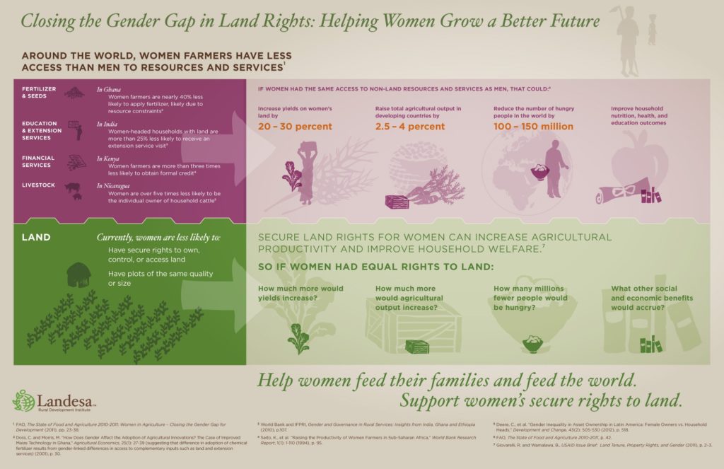 Women and land infographic