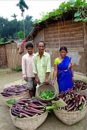 West Bengal, India - Small farmers show off their yield