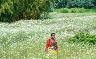 Rwanda farmer