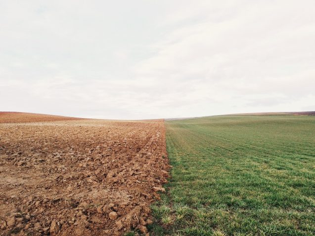 Featured image for “Climate Resilience At The Intersection Of SRHR And Land Rights”