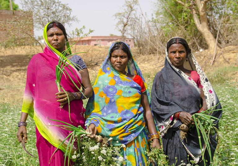 Landesa in India